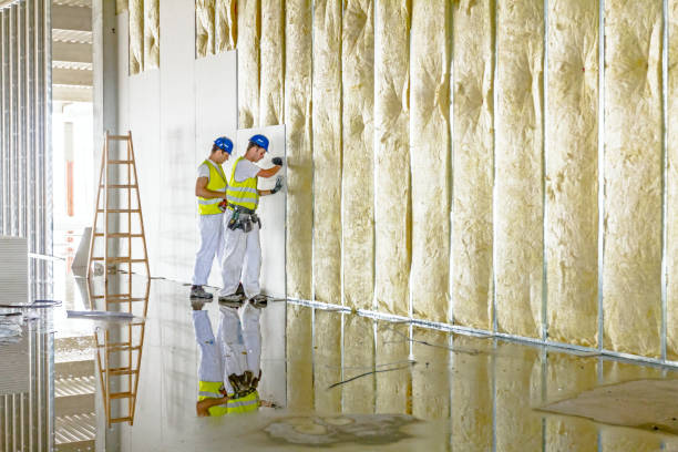 Best Commercial Insulation in Shirley, NY